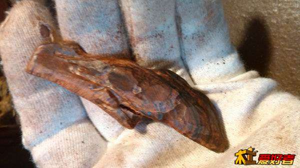 调整大小 IMG_20140702_180007.jpg