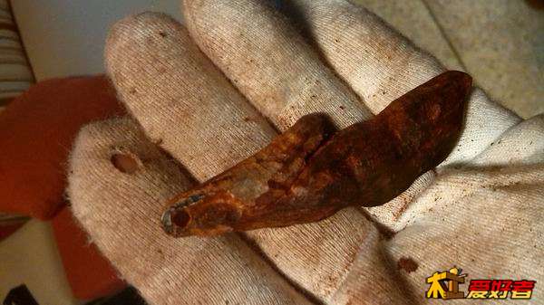 调整大小 IMG_20140702_182910.jpg