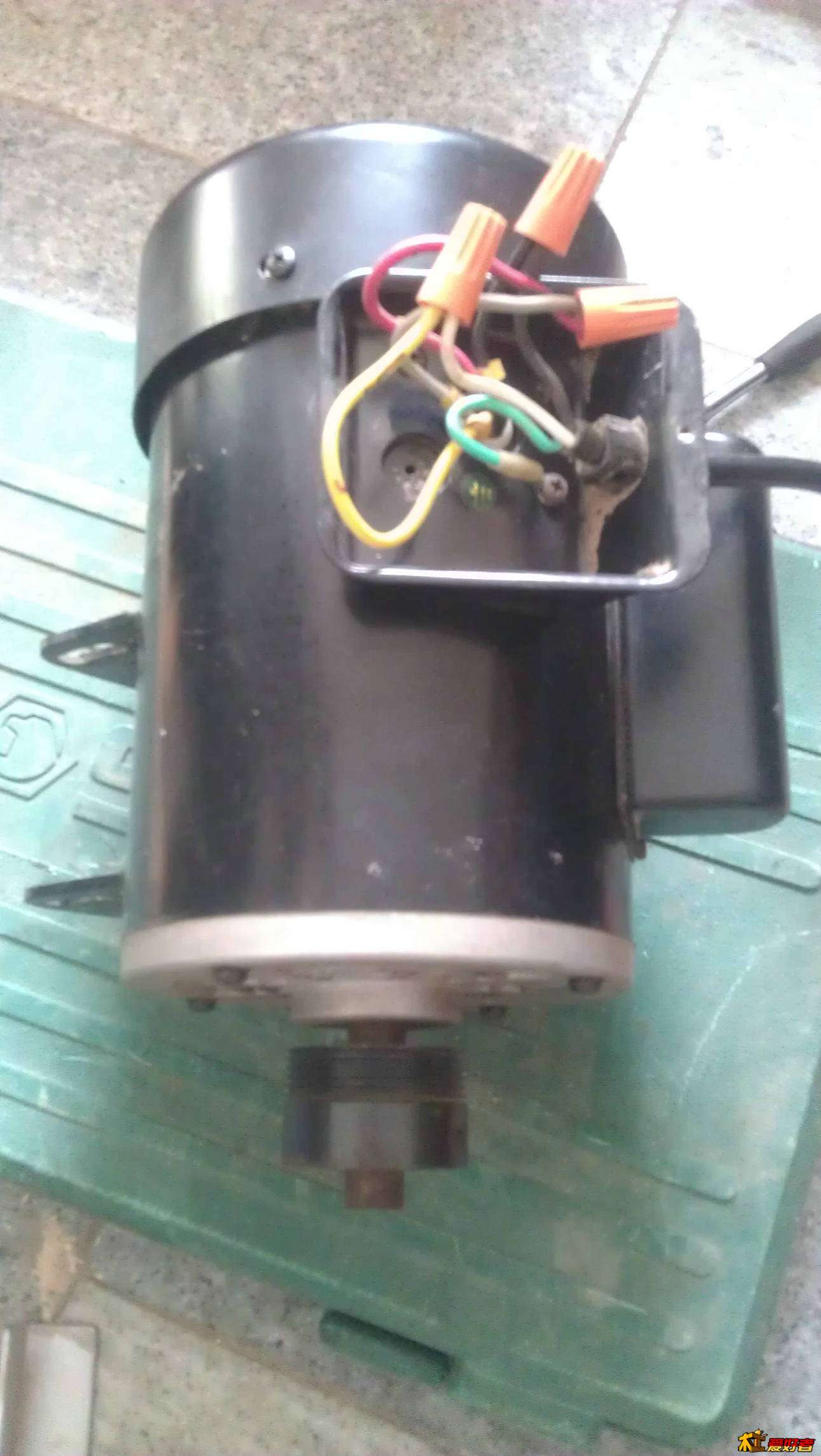 IMAG2737.jpg