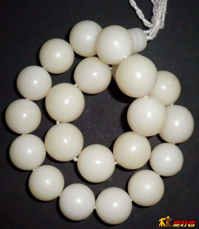 SANY0028.JPG