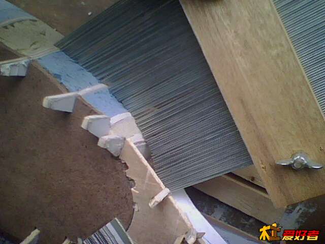 IMG0297A.jpg