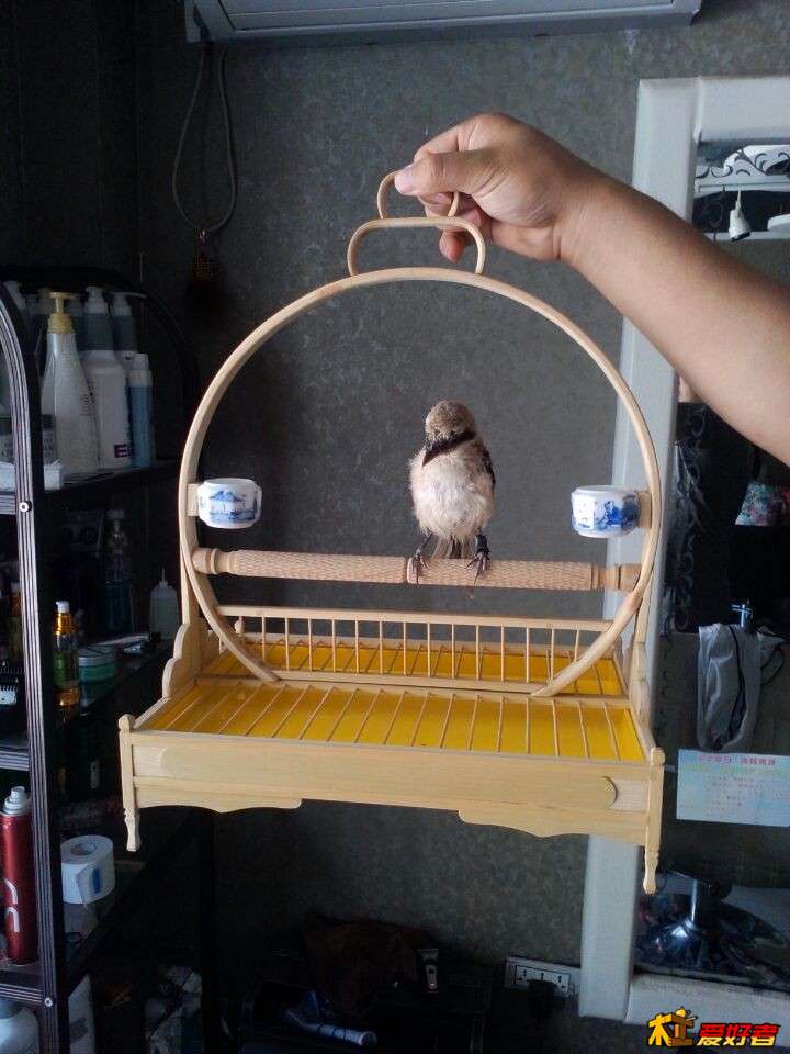 QQ图片20140709164322.jpg