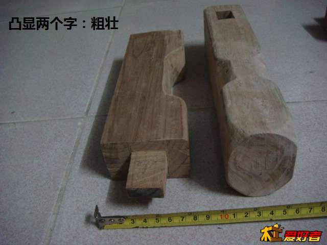 DSC01557.JPG