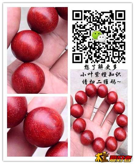 65464副本.jpg