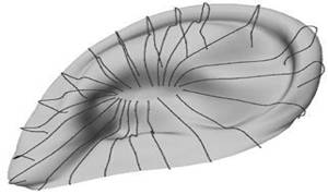140725gxii4smdao1dzdwz.jpg