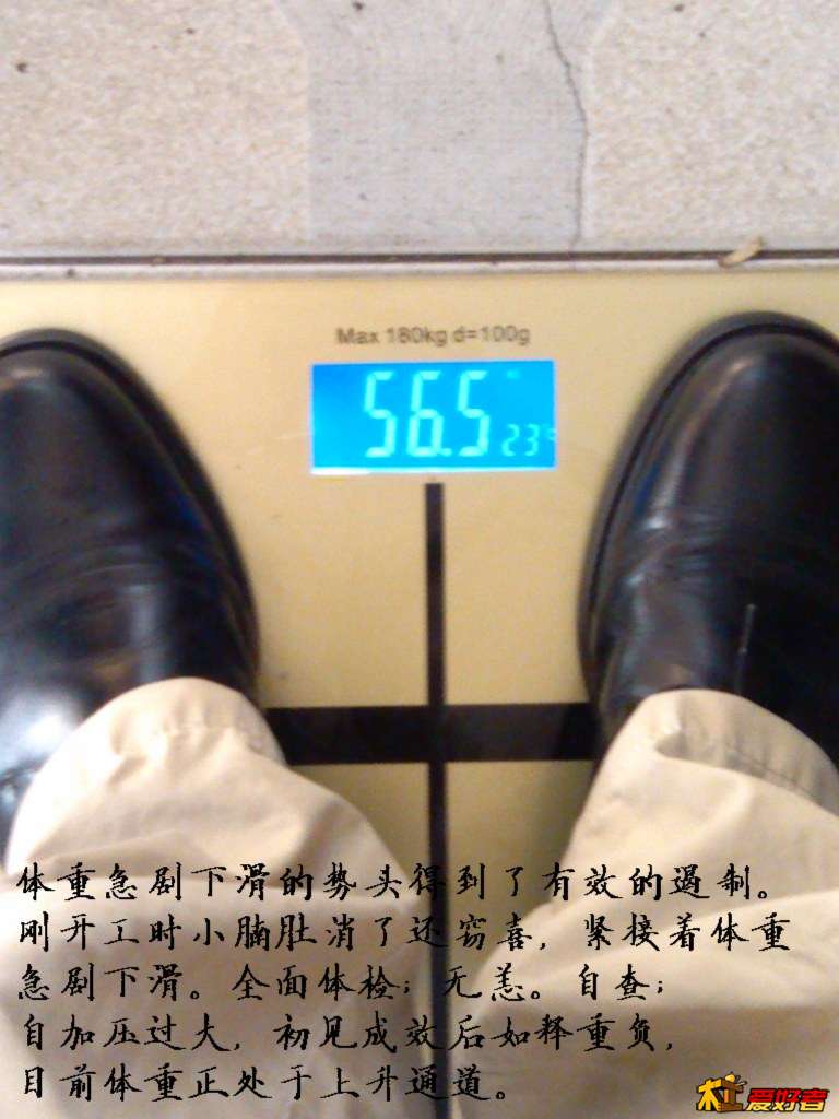 311.jpg