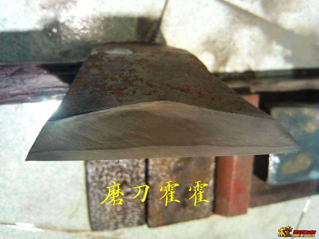 359.jpg