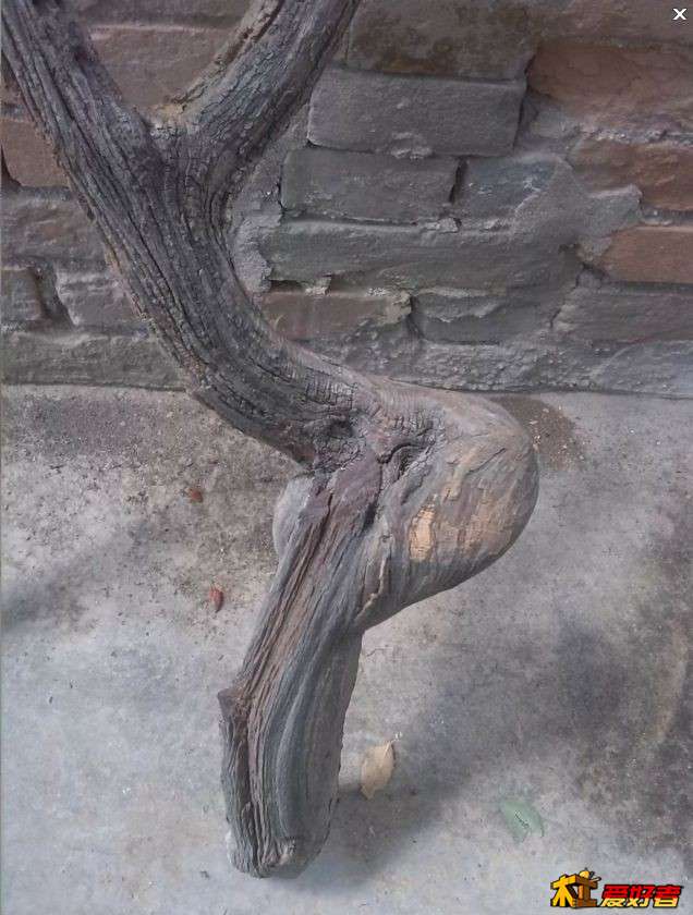 从老枣树上锯了一截枯死的枝，我小时候记得就是枯的，20多年了。这个要怎么打磨呢？