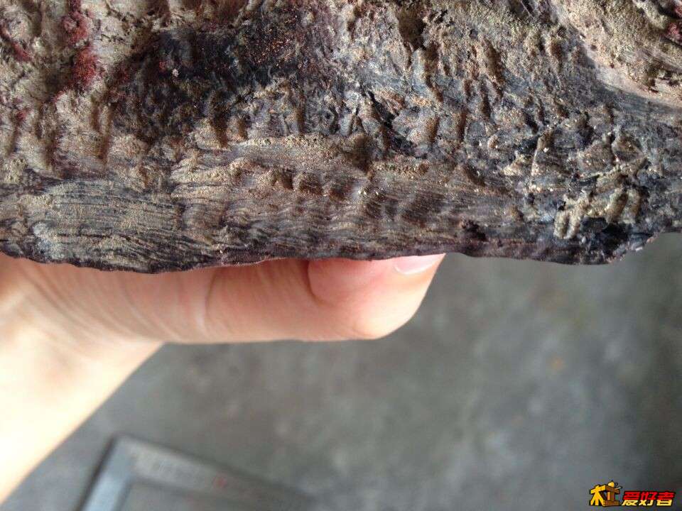QQ图片20140831131538.jpg