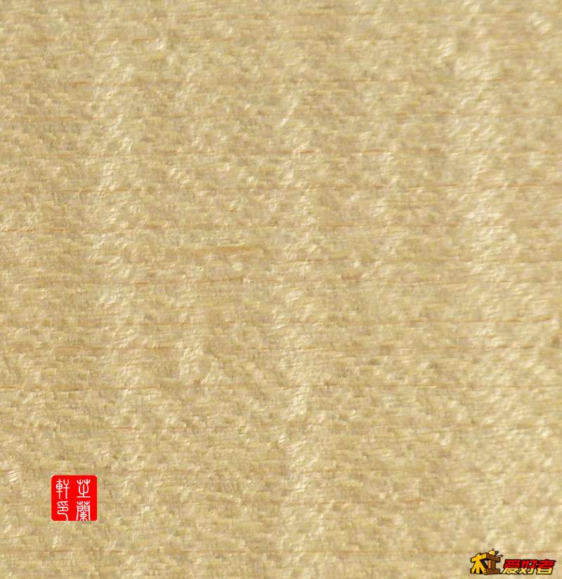 P1040968_副本白牛槭方图.jpg
