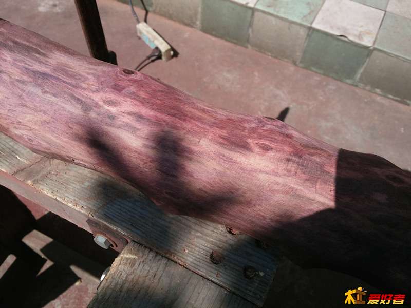 CAM01279_副本.jpg