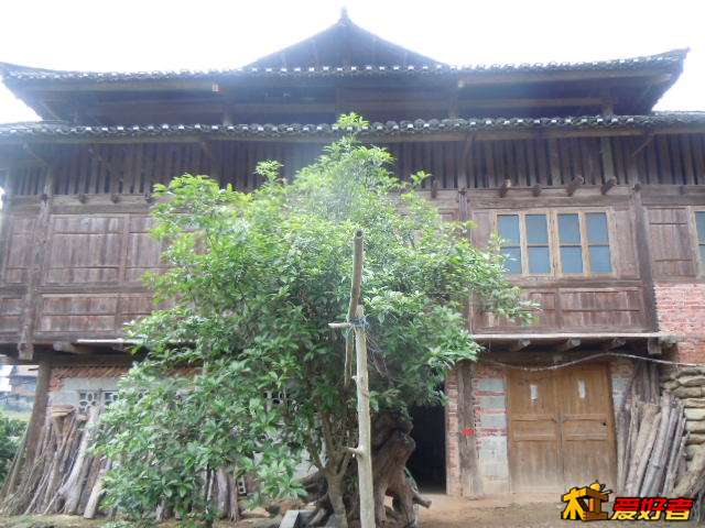 DSCN6265.jpg