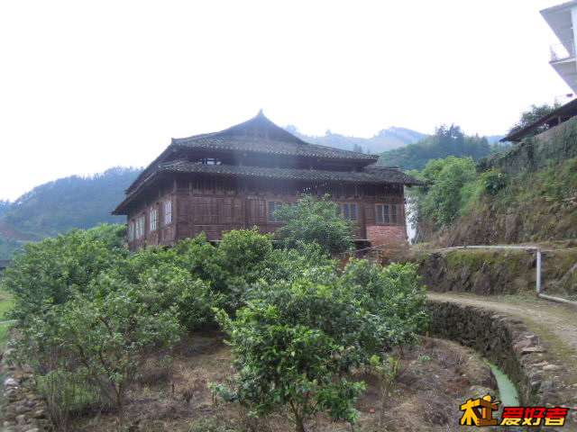 DSCN6264.jpg