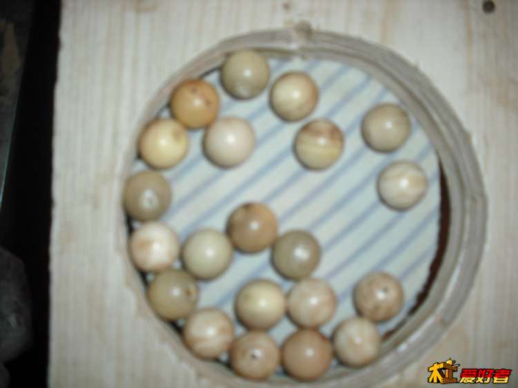 183945mc10c1gz0419idpk.jpg