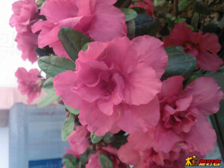 062528hml6rur6006uzyry.jpg