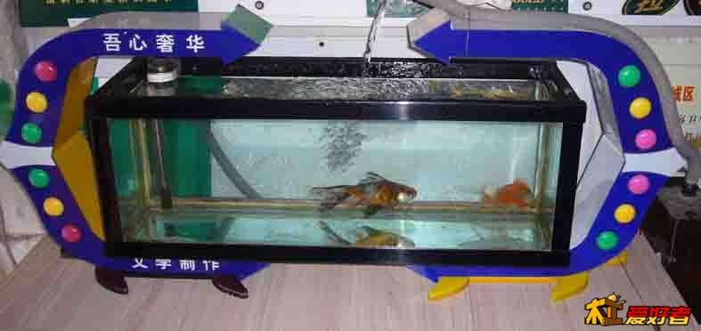 鱼缸.jpg