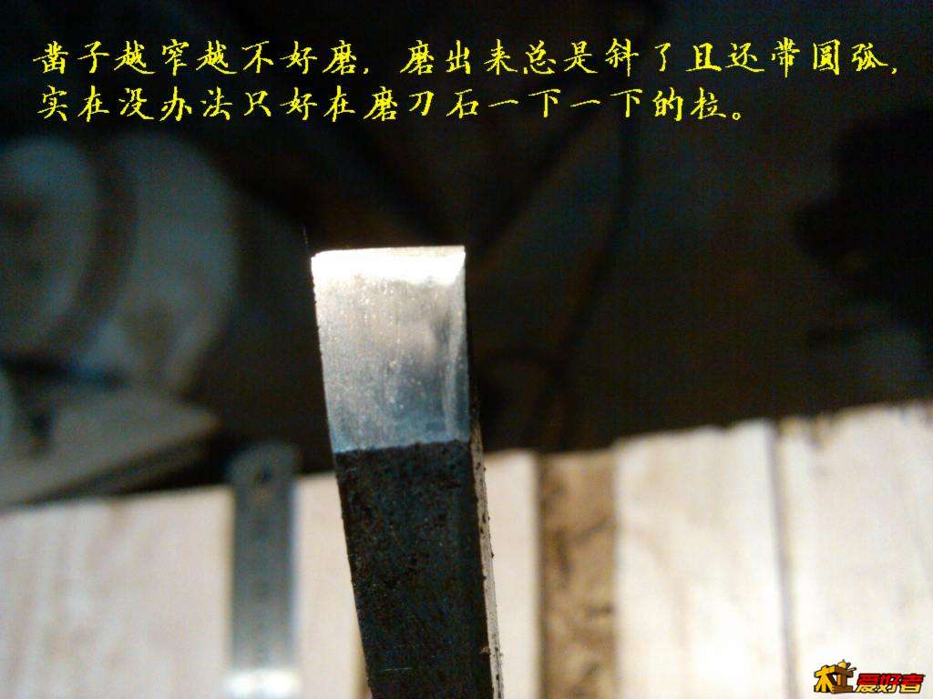 1010.jpg