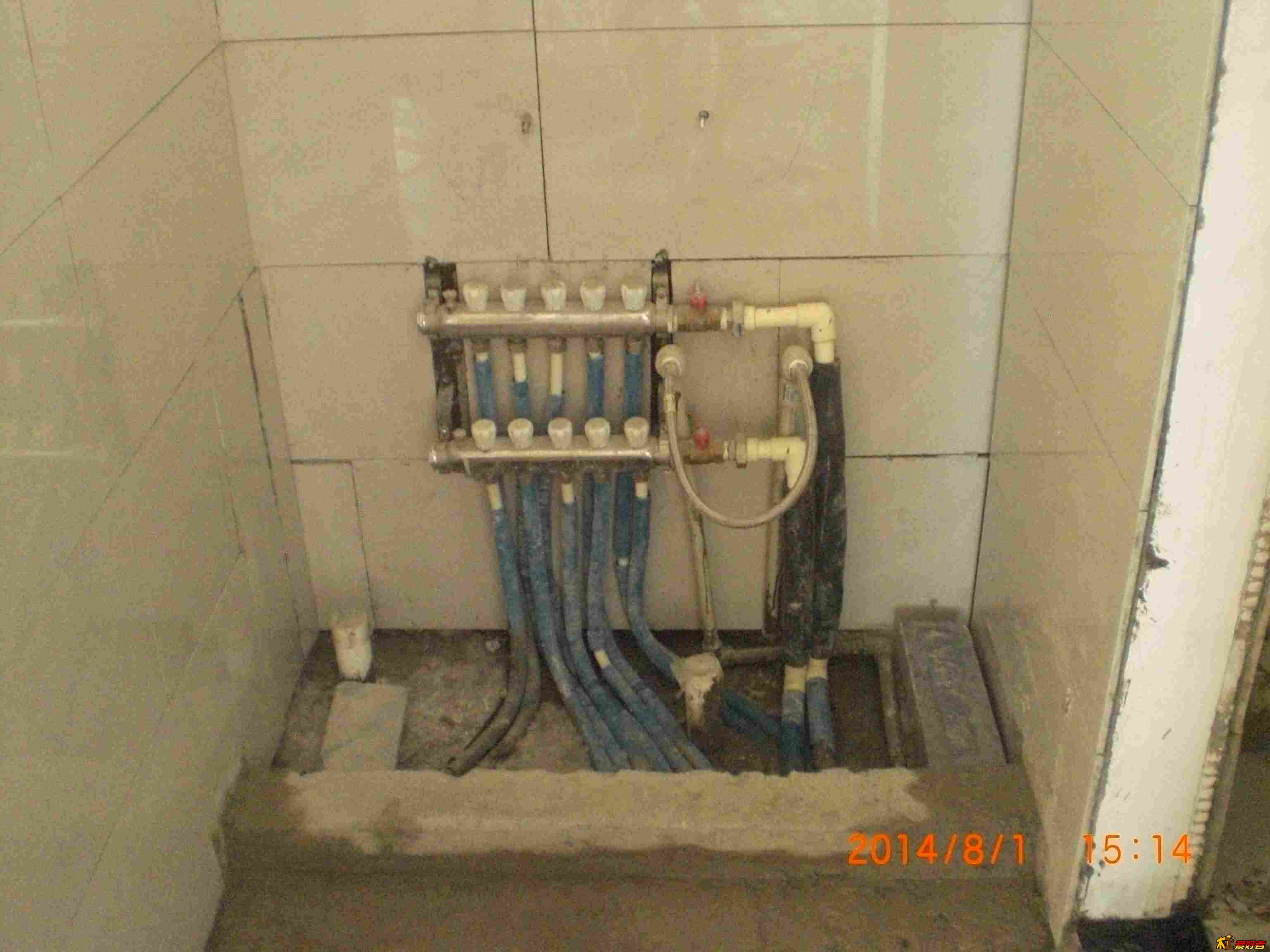 CIMG5264.jpg