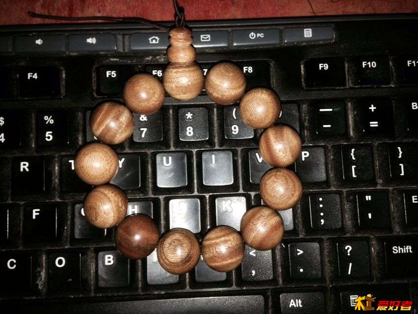 看看什么木的