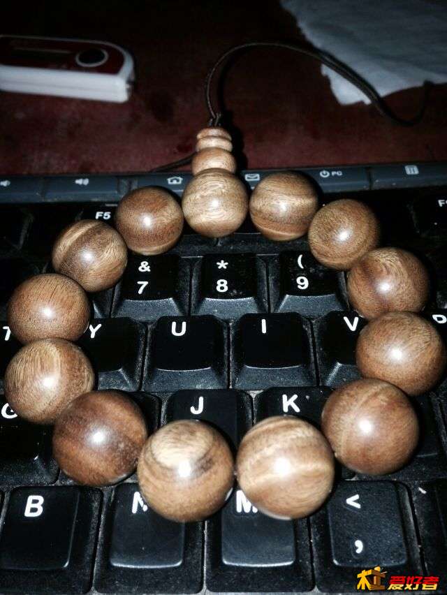 看看什么木的