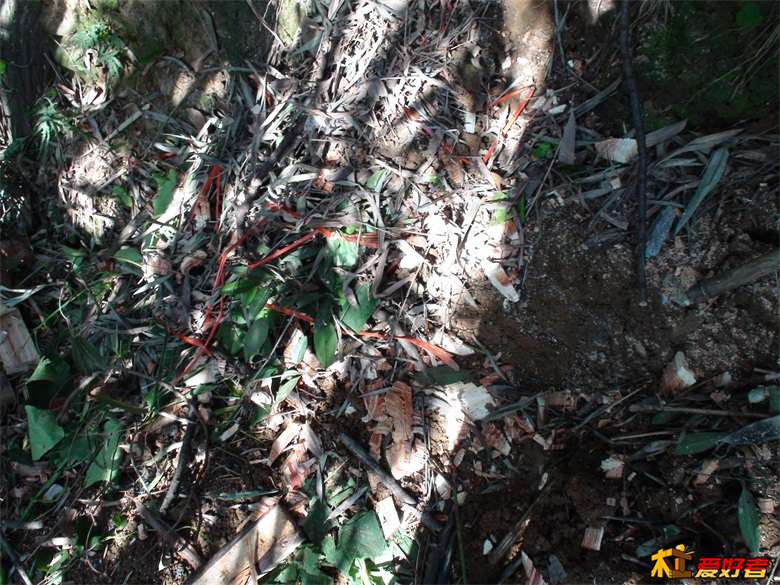 DSC00752.JPG