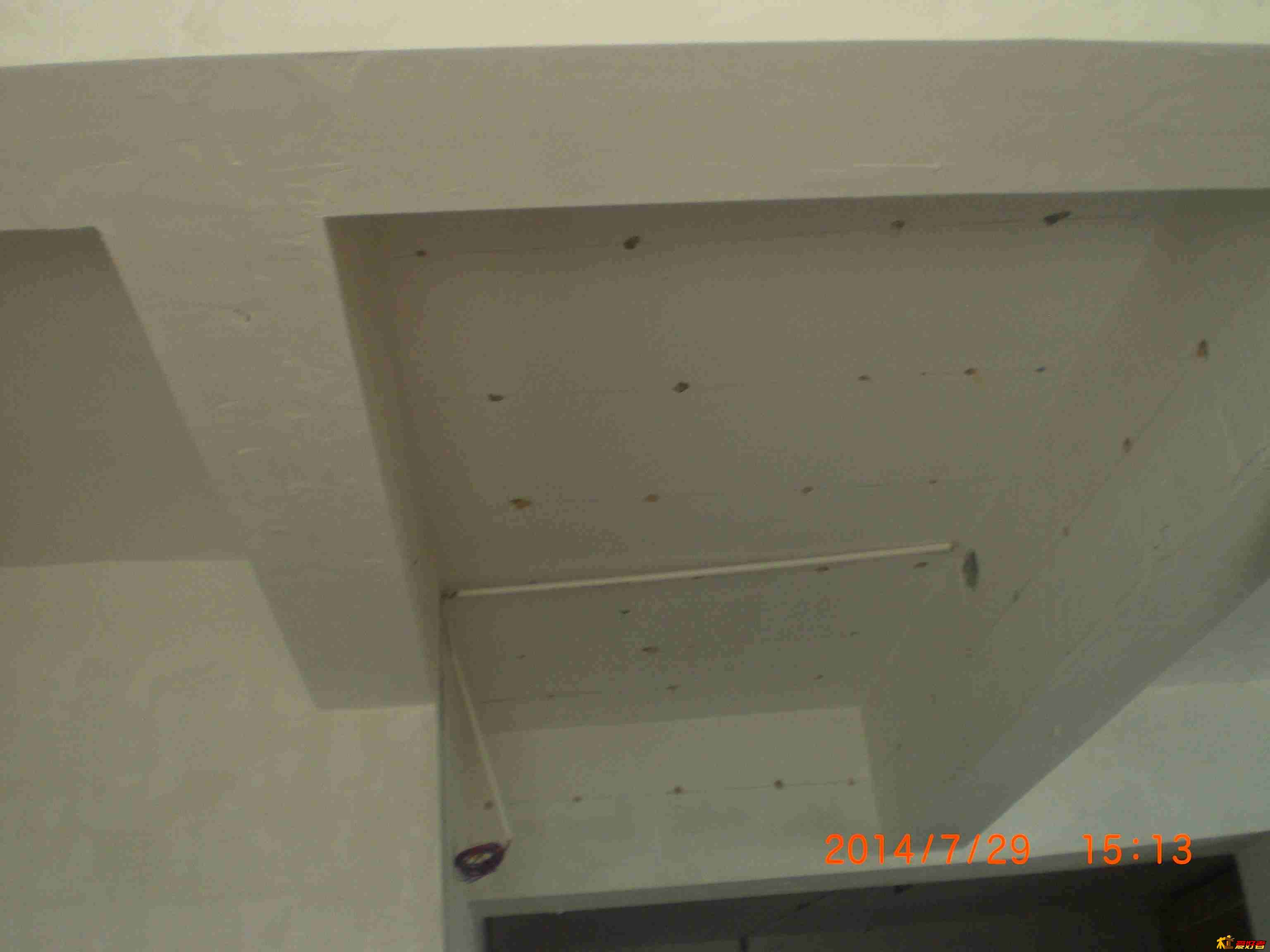 CIMG5222.jpg