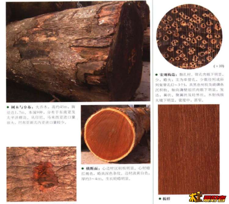 145733s2j7bu8hvpw8622w.jpg