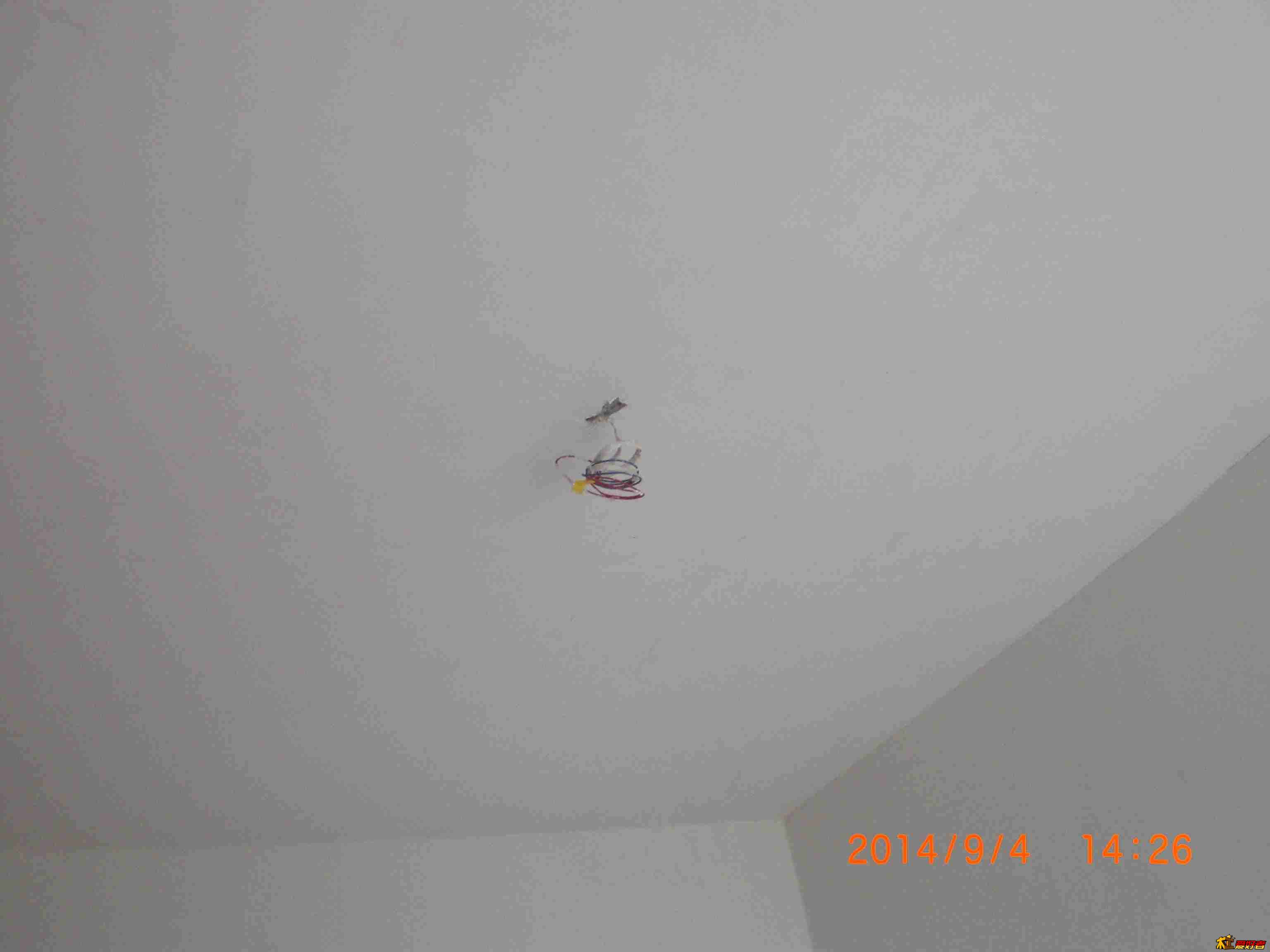 CIMG5377.jpg