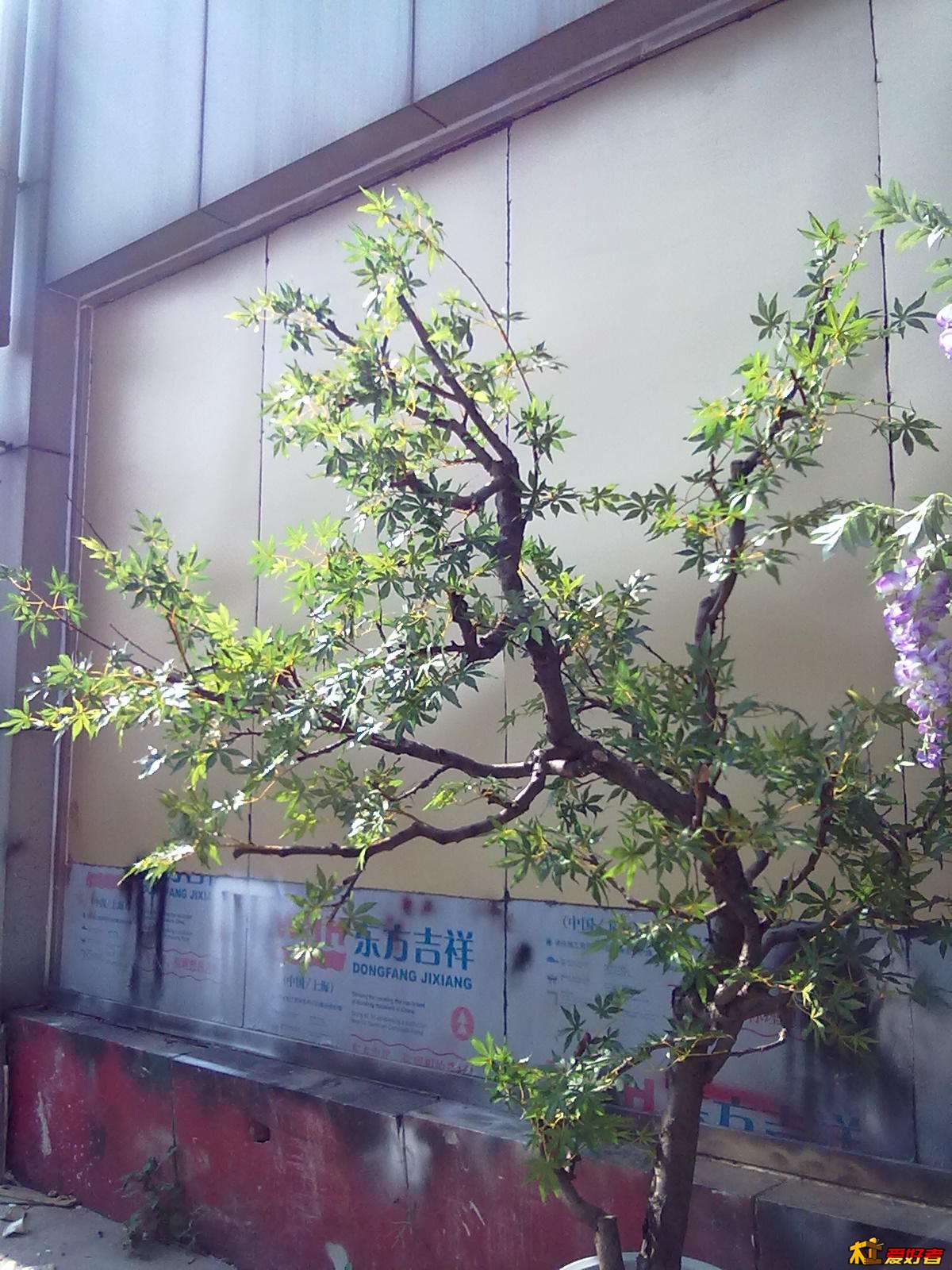 201408154151.jpg