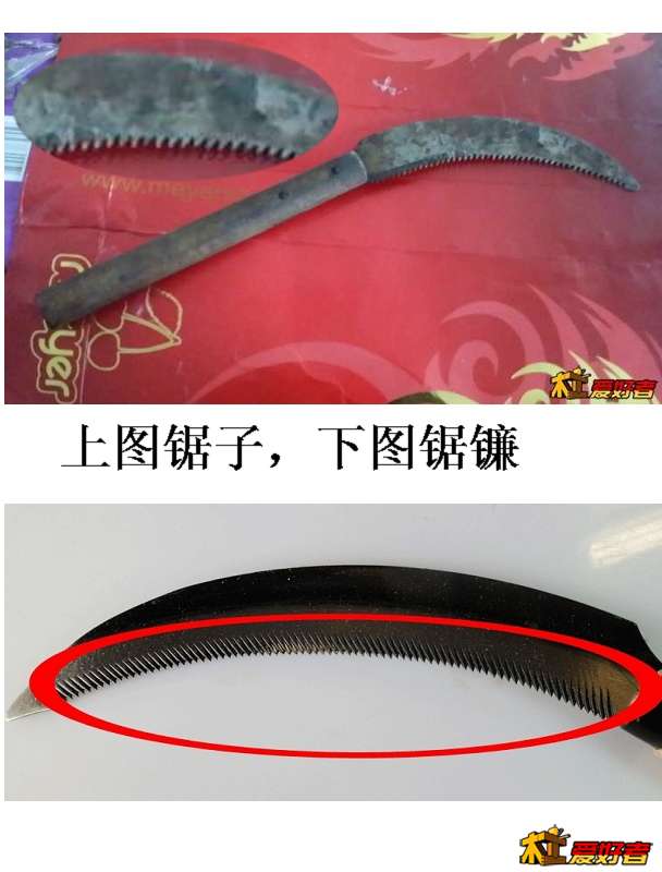 对比.jpg