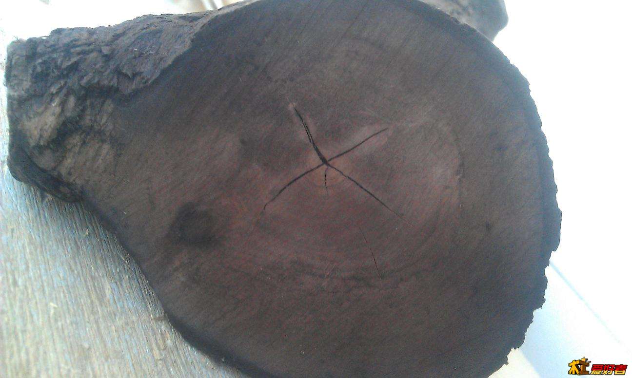 IMAG2670.JPG