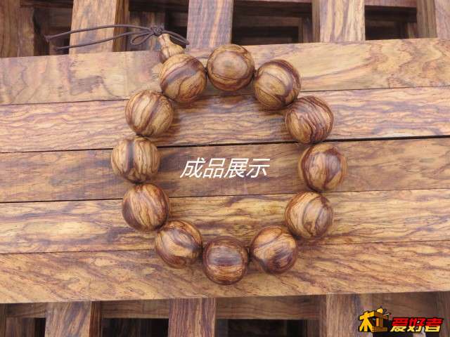 大叶芝麻点3.jpg