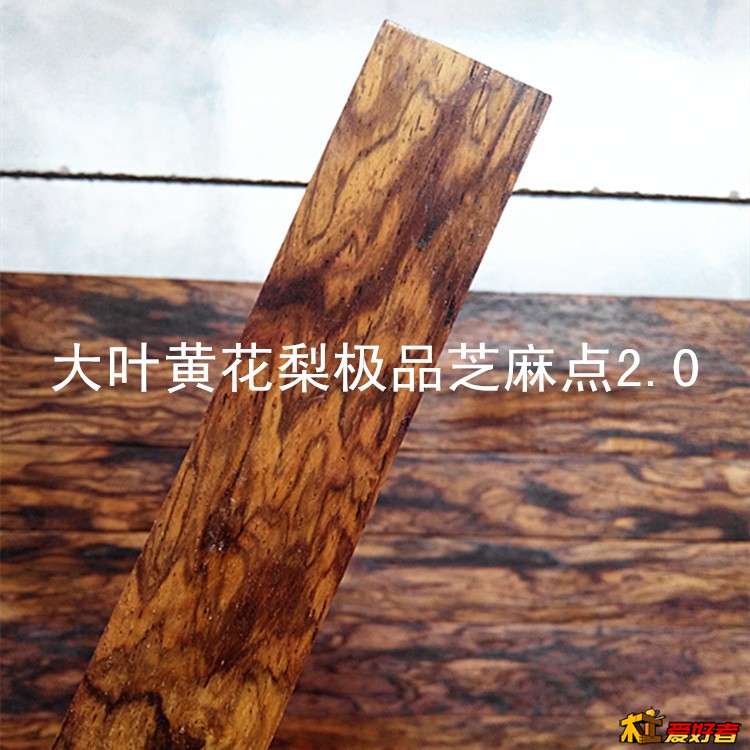 大叶芝麻点4.jpg