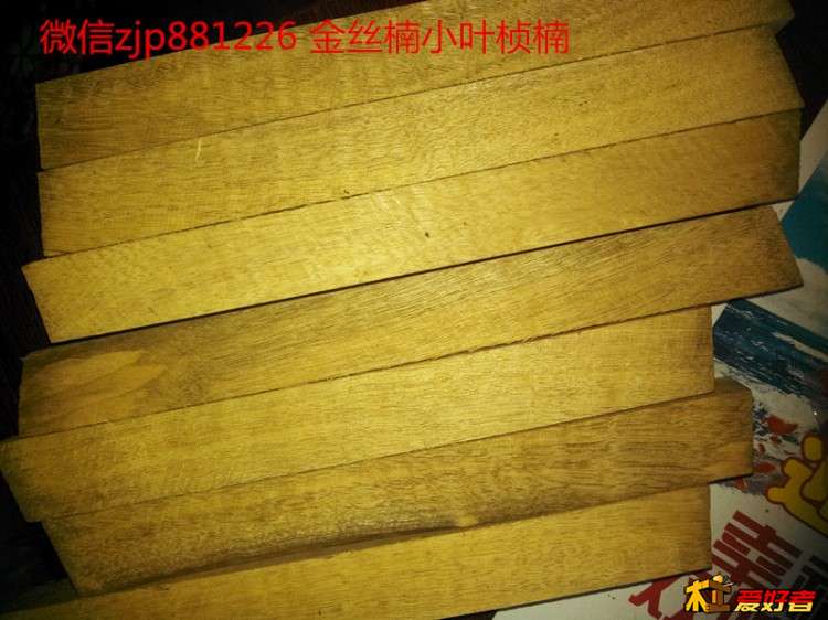 金丝楠小叶桢楠.jpg