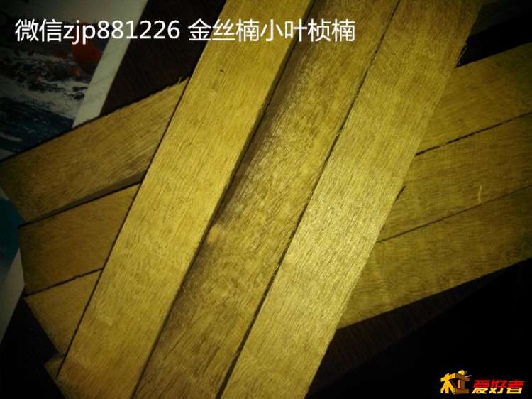 金丝楠小叶桢楠2.jpg