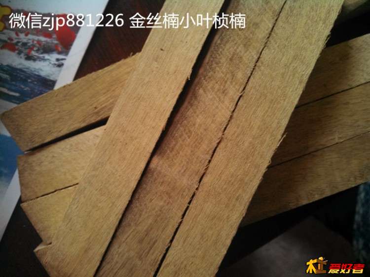金丝楠小叶桢楠3.jpg