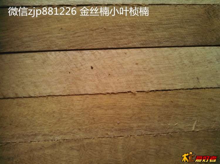 金丝楠小叶桢楠4.jpg