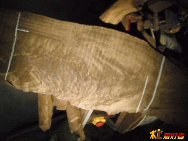 DSCF1577.JPG