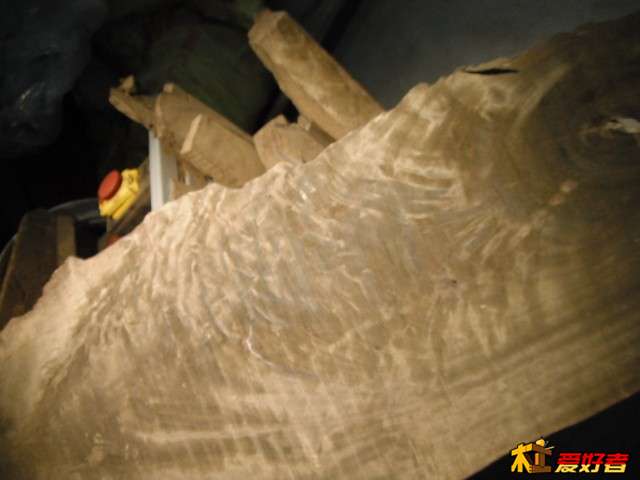 DSCF1576.JPG