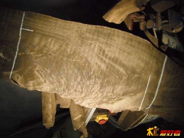 DSCF1578.JPG