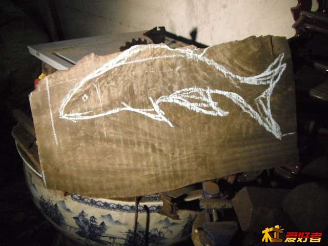 DSCF1580.JPG