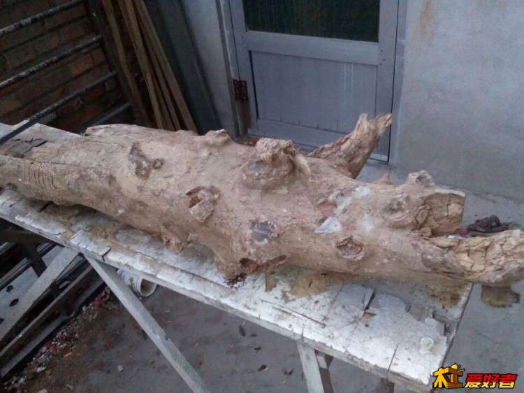 河床挖出来的木头