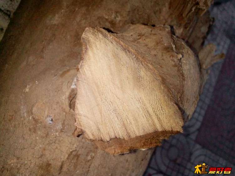 手机拍照~有闪光灯~