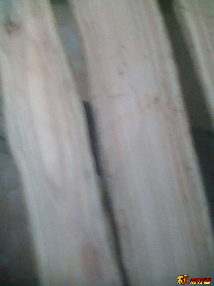 心材是黄的