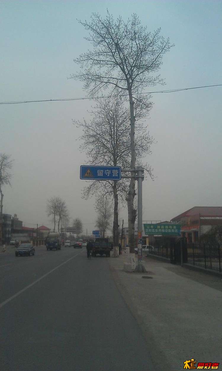 IMAG2919.JPG