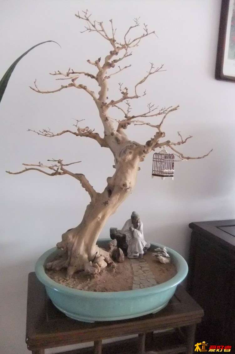 照片 014.jpg
