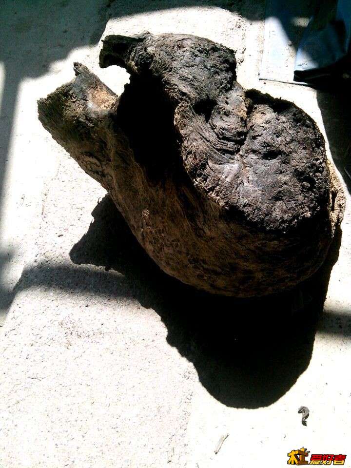 QQ图片20150331142626.jpg