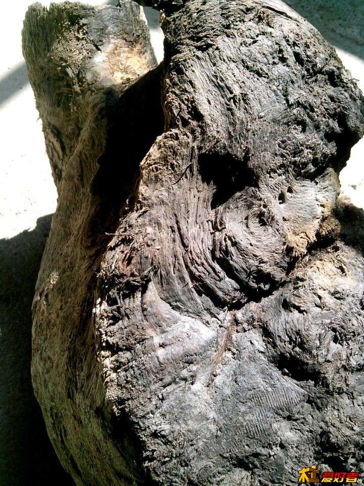 QQ图片20150331142632.jpg