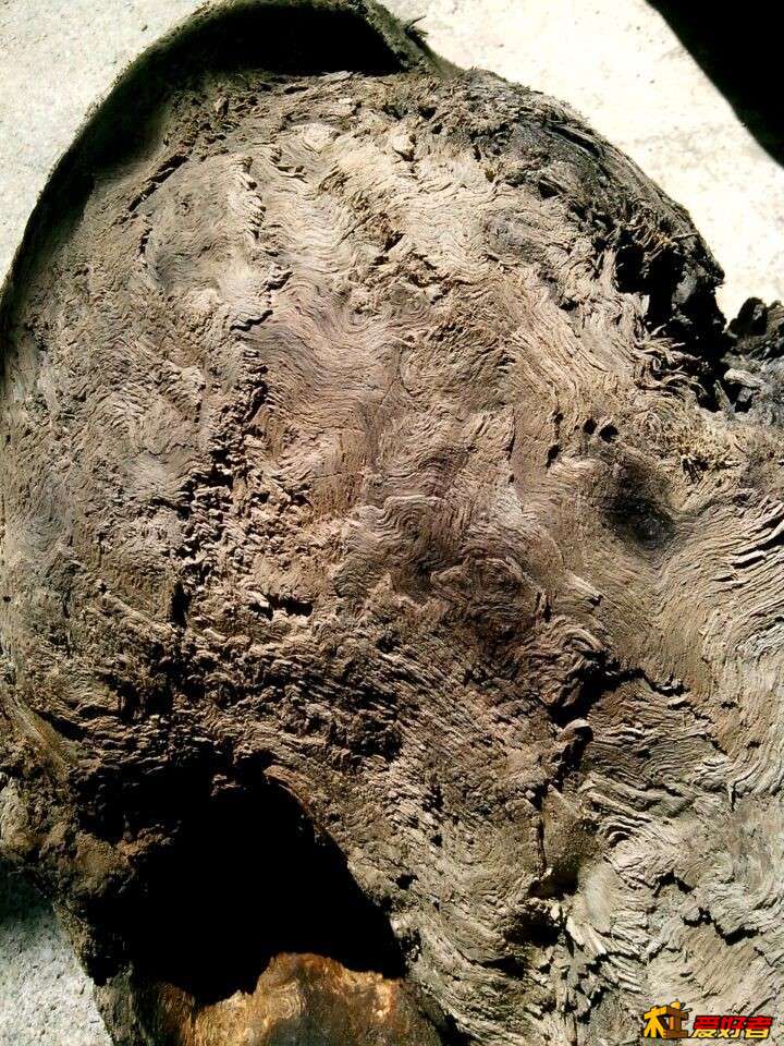 QQ图片20150331142656.jpg