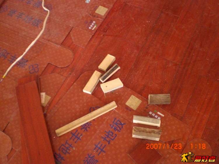 CIMG5538.jpg